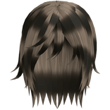 Raccoon Black n Brown Emo Long Messy Vkei Boy Hair