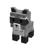 Raccoon [Grow a Garden]