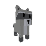 🦝Raccoon Shoulder (Grow A Garden)