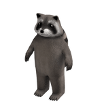 Raccoon Suit