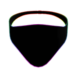 Rainbow Bandana