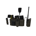 Ranger Green Strandhogg Law Enforcement Setup