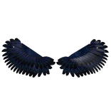 raven's starry wings