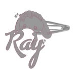 ray clip