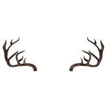 Realistic Antlers