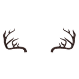 Realistic Antlers