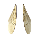 Realistic Bee Wings