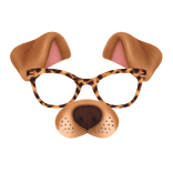 Realistic Dog Filter with Tortoiseshell Glasses
