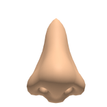 Realistic Nose