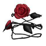 Red Black Gothic Roses Arm Decoration - Right