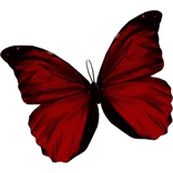 red butterfly mask