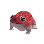 Red Frog Suit
