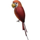 (Red) Left Shoulder Parrot