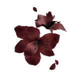 red lily flower eyepatch ❀