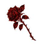 Red Rose
