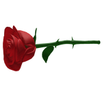 Red Rose
