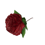 Red  Rose Holdable [R6]
