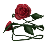 Red Roses Arm Decoration - Right