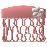 ♡ red summer hibiscus flower hawaiian top