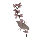 ʚ紫荆 redbud blossom branch & moth on ur hair ♡