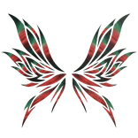 🎄 Red/Green Supernova Galaxy Christmas Wings 🪐
