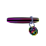 RGB Collar