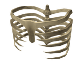 Ribcage Exo Skeleton