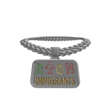 Rich immagrants  iced out chain 3.0