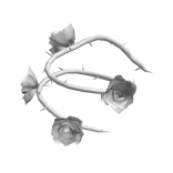 [Right] 3.0 Shoulder Spiky White Roses