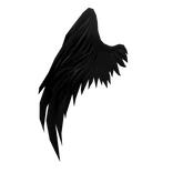 Right Black Half Angel Wing
