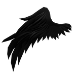 Right Black Half Angel Wing