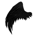 Right Black Half Angel Wing