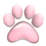 right paw