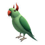 Ringo the Demon Parrot