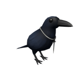 Rogue Raven Companion