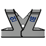 ROKA MP Old Vest [R15]