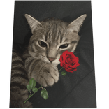 Rose Cat Cape