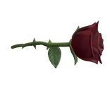 Rose In Mouth
