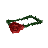 Rose Thorn Belt
