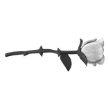 Rose White