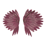 Roseglow Pink Feather Wings