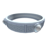 Runald's Band (Risk of Rain)