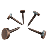 Rusty nails in shoulder