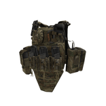 RVS Plate Carrier (Multicam Ver.)