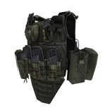 RVS Plate Carrier (Ranger Green Ver.)