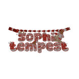 ⋆˙ sam's xmas necklace