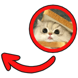 sandwich cat pointing red meme circle