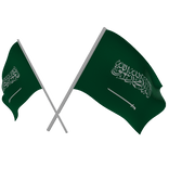 Saudi Arabia Double Flags