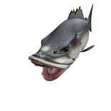 Savage Pike Fish(LIMITED)