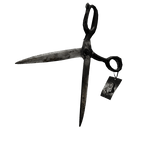 scissors